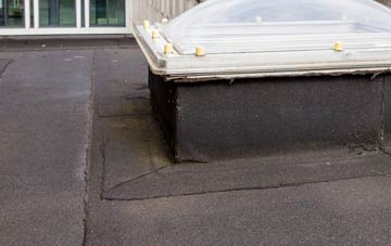 disadvantages of Cinnamon Brow flat roofs