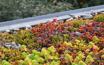 the cost of Cinnamon Brow green roof installation