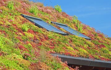 Cinnamon Brow living roof systems