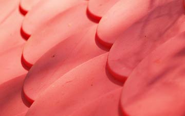 Cinnamon Brow plastic roof costs