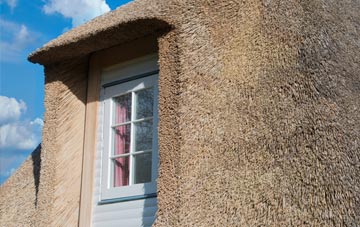 Cinnamon Brow thatch roof disadvantages