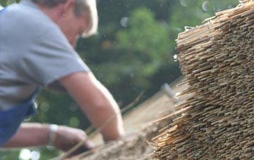 professional Cinnamon Brow thatchers