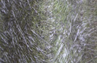 Cinnamon Brow fibreglass roof work